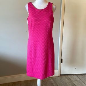 [Pappagallo] “Lipstick” Textured Dress - Size 2 NWT